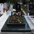 Гранит, паметници, Варна, Тополи