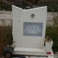 мозайка, паметници, Варна, Тополи